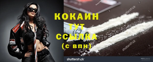 PSILOCYBIN Козельск