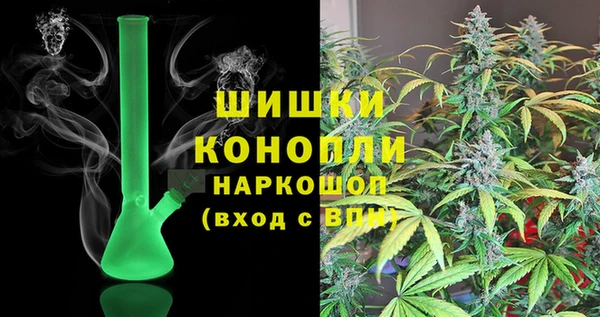 PSILOCYBIN Козельск