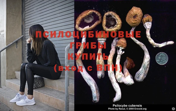 прущие грибы Кодинск