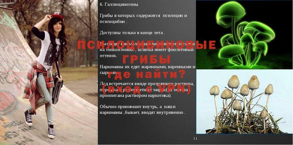 jwh Новосибирск