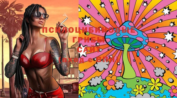 PSILOCYBIN Козельск