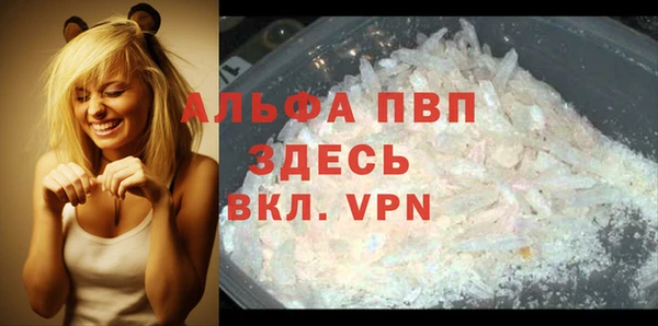 прущие грибы Кодинск
