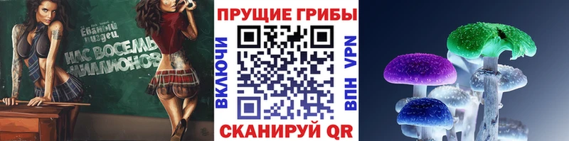 Галлюциногенные грибы мицелий купить Суздаль